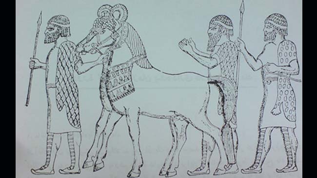 اسب های مادی براساس منابع آشوری.